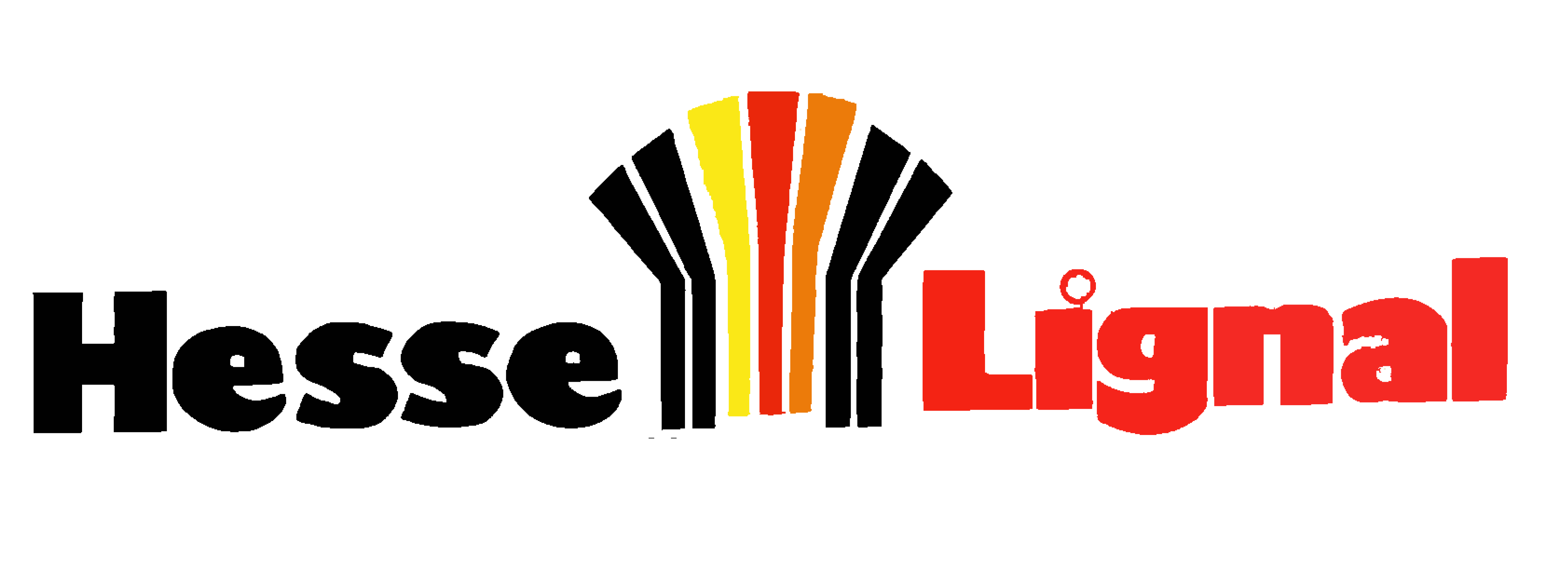 汉斯